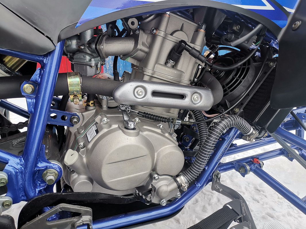 Квадроцикл PROMAX RAPTOR 300 NEW RedBull в Калининграде