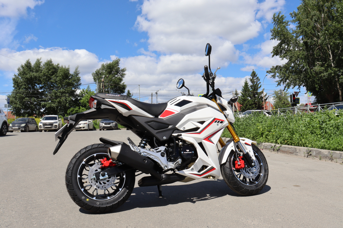 Мотоцикл PROMAX STRYKER 200(49) 2.0 в Калининграде