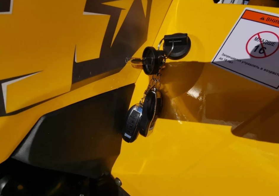 Квадроцикл MOTOLAND (МОТОЛЕНД) VOX200 WILD TRACK X PRO (баланс. вал) в Калининграде