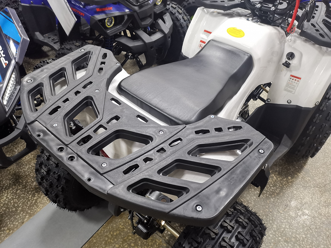 Квадроцикл PROMAX WILD 175 LUX в Калининграде