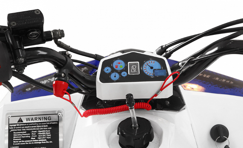 Квадроцикл Yacota Raposa 110 в Калининграде