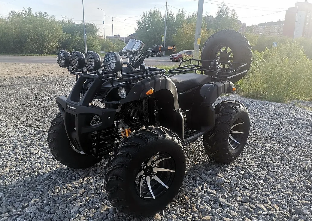 Квадроцикл PROMAX LEO 300 Max (кардан) в Калининграде