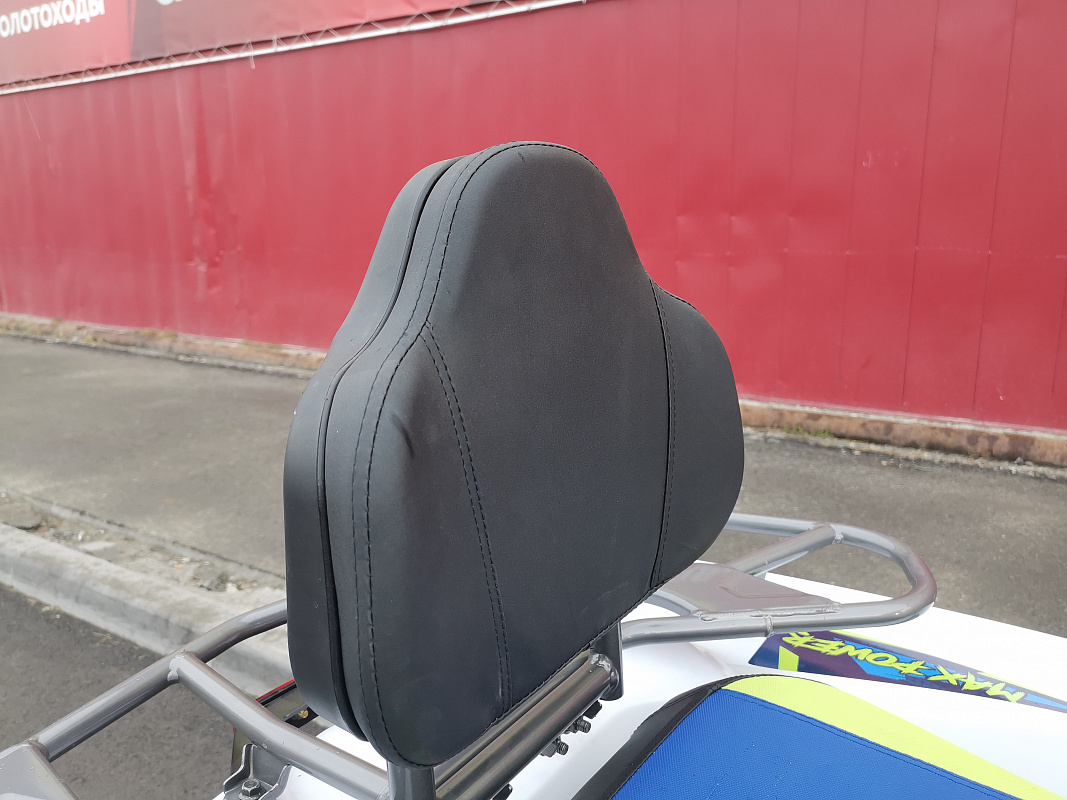 Квадроцикл PROMAX RENEGADE 280 LUX (2025) в Калининграде