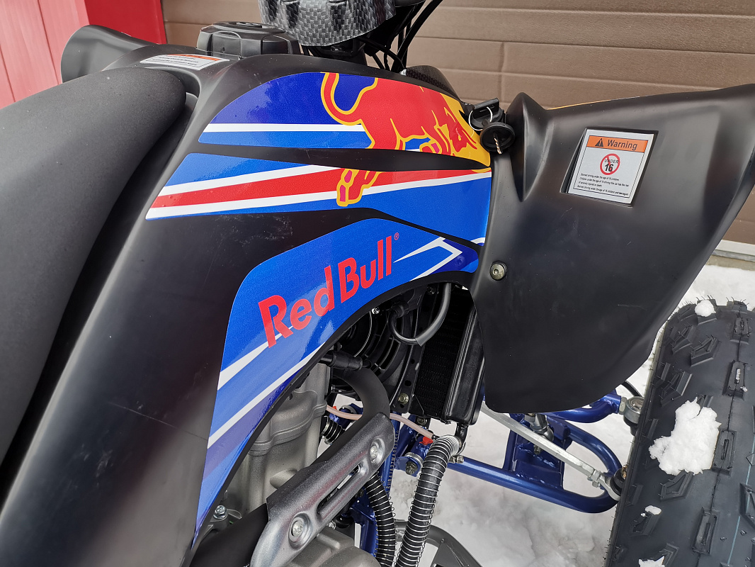 Квадроцикл PROMAX RAPTOR 300 NEW RedBull в Калининграде