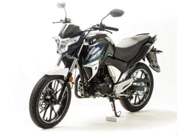 Мотоцикл MOTOLAND (МОТОЛЕНД) FIGHTER 250 в Калининграде