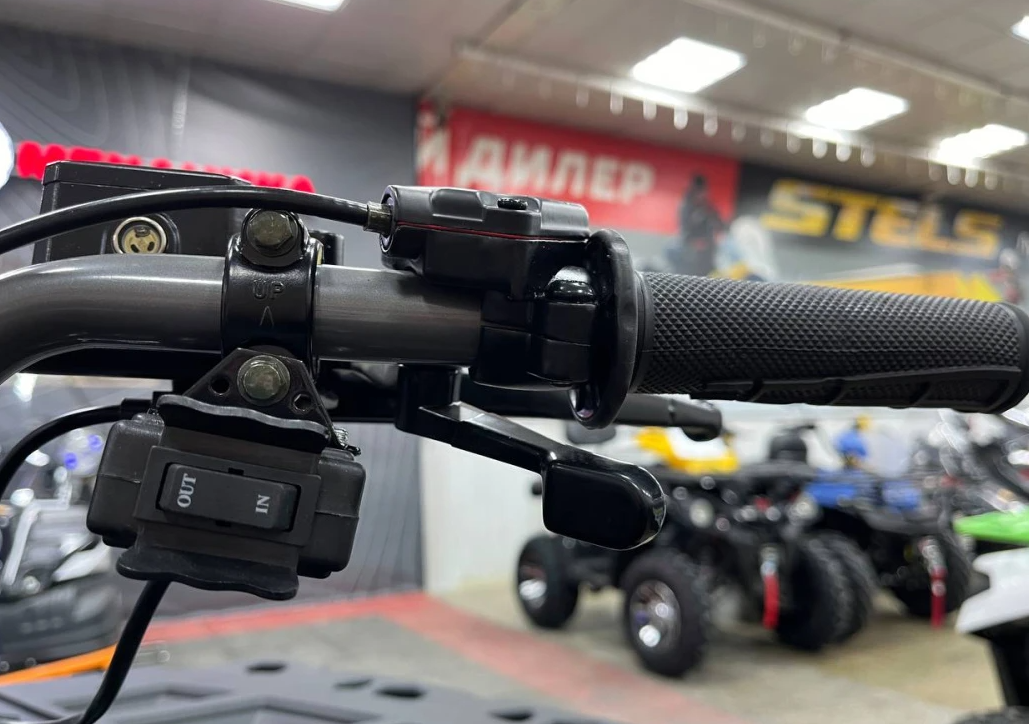 Квадроцикл PROMAX RENEGADE 300 LONG WINCH PRO (2025) в Калининграде