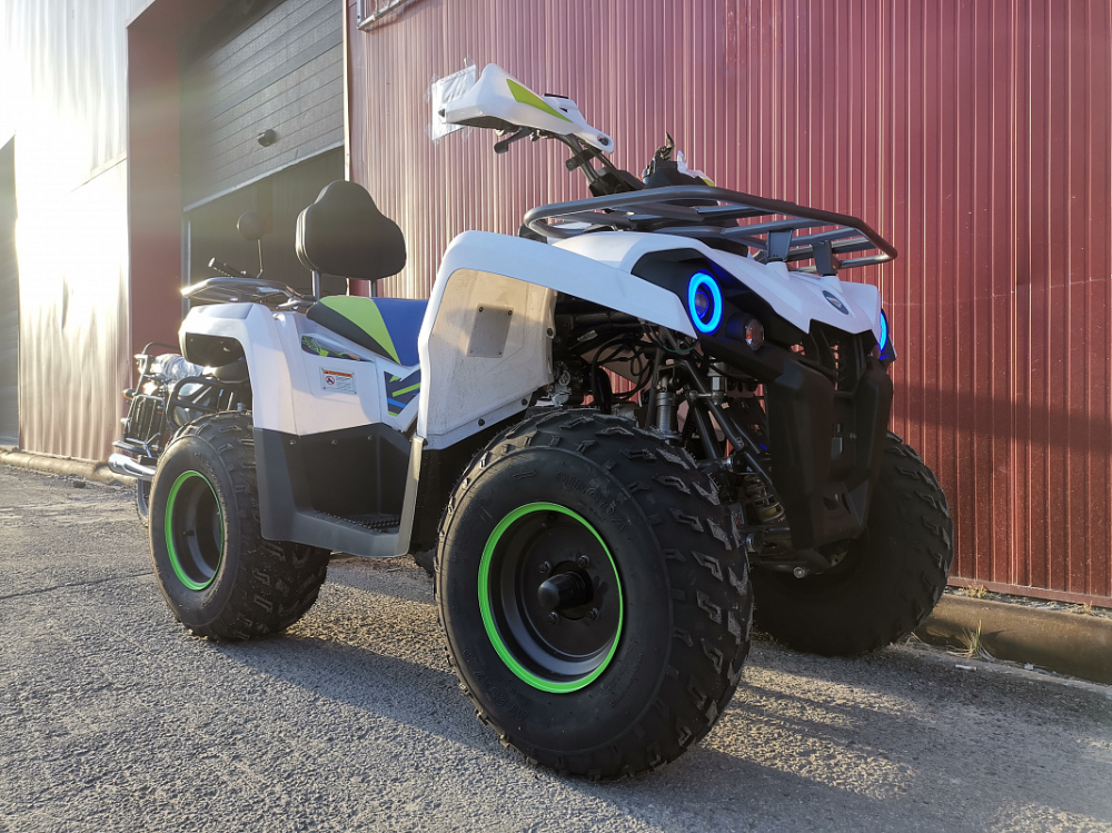 Квадроцикл PROMAX RENEGADE 280 LUX (2025) в Калининграде