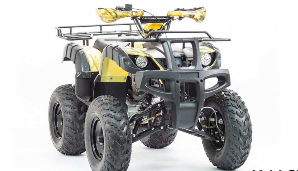 Квадроцикл MOTOLAND (МОТОЛЕНД) 250 ADVENTURE в Калининграде