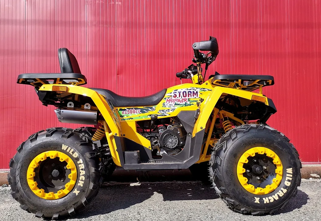 Квадроцикл PROMAX STORM 280 LUX в Калининграде