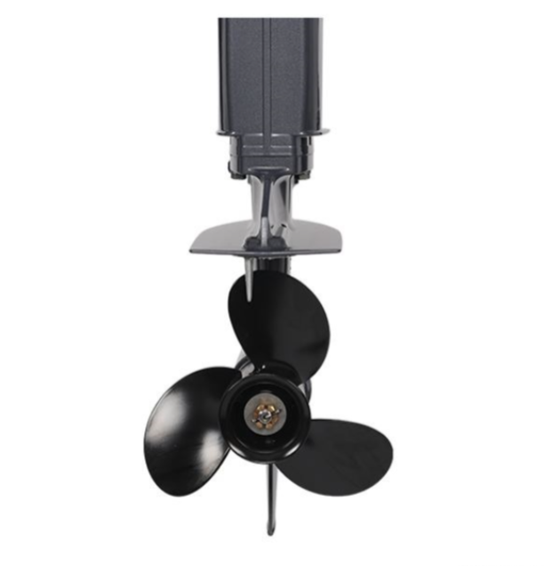 Лодочный мотор ALLFA CG Т40FW S в Калининграде