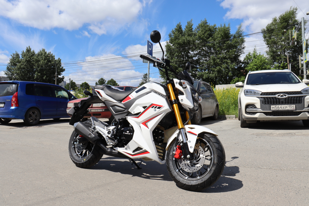 Мотоцикл PROMAX STRYKER 200(49) 2.0 в Калининграде