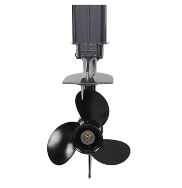 Лодочный мотор ALLFA CG Т40FWT S в Калининграде