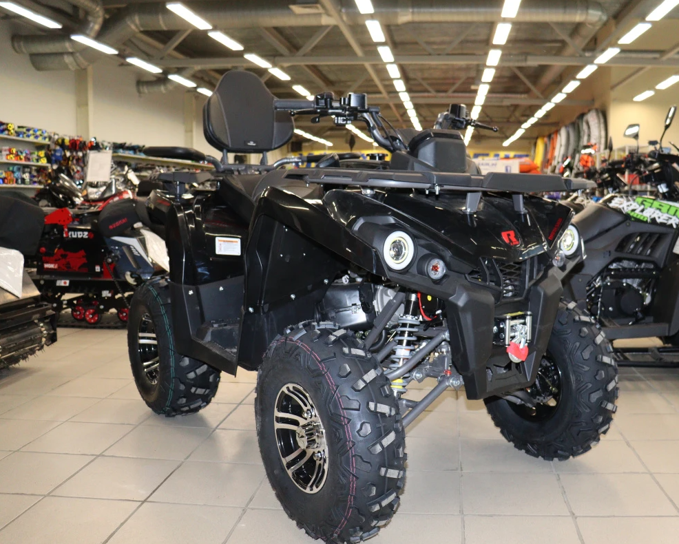 Квадроцикл PROMAX RENEGADE 300 LONG WINCH PRO (2025) в Калининграде