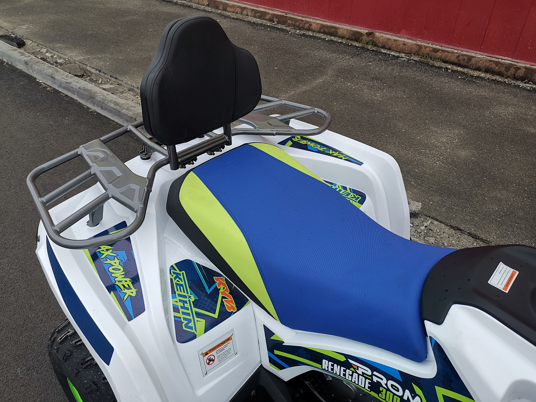 Квадроцикл PROMAX RENEGADE 280 LUX (2025) в Калининграде
