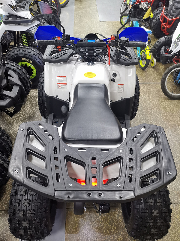 Квадроцикл PROMAX WILD 175 LUX в Калининграде