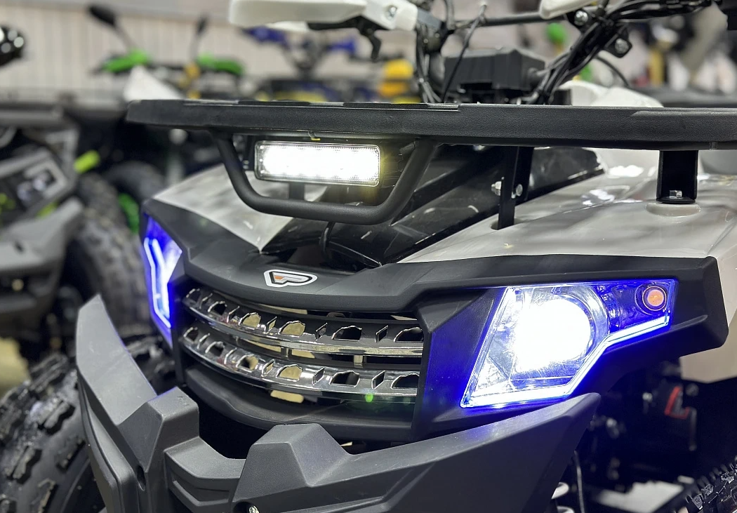 Квадроцикл PROMAX WILD 2.0 190 в Калининграде