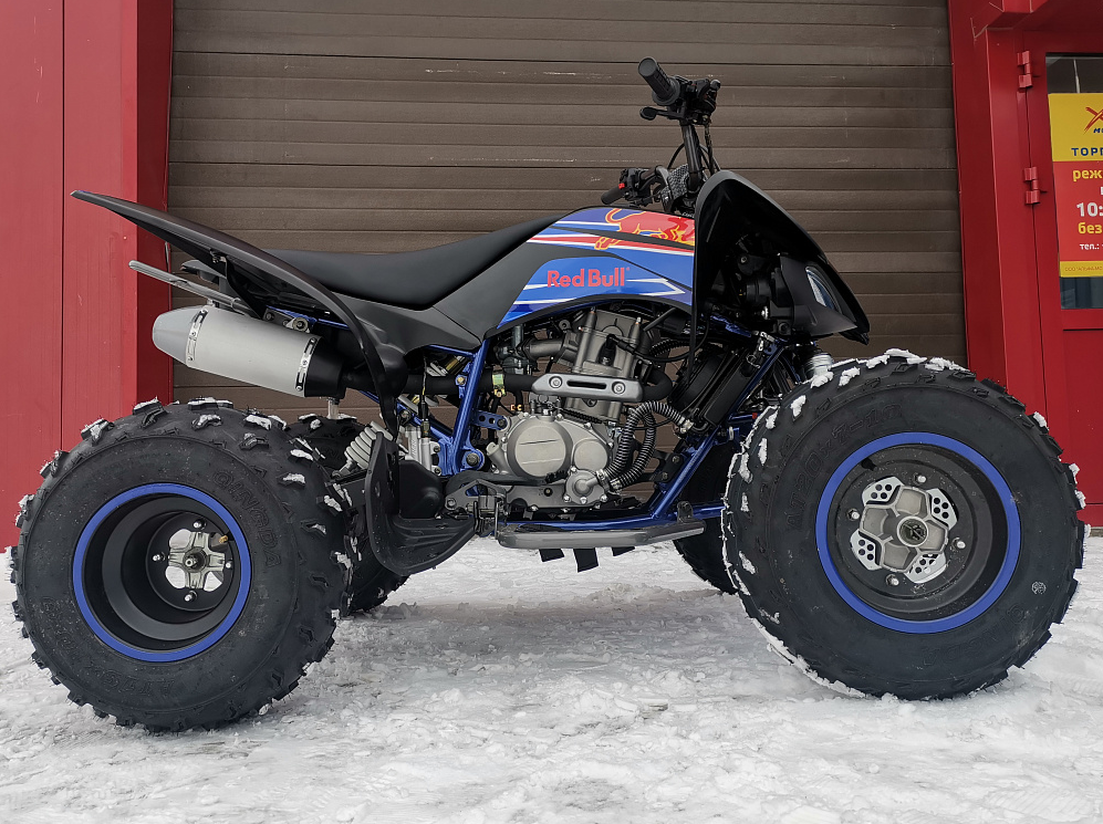 Квадроцикл PROMAX RAPTOR 300 NEW RedBull в Калининграде