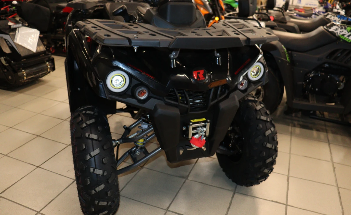 Квадроцикл PROMAX RENEGADE 300 LONG WINCH PRO (2025) в Калининграде