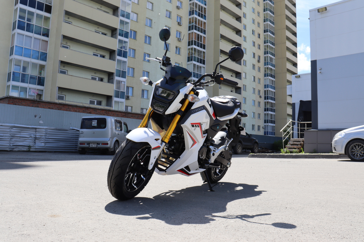 Мотоцикл PROMAX STRYKER 200(49) 2.0 в Калининграде