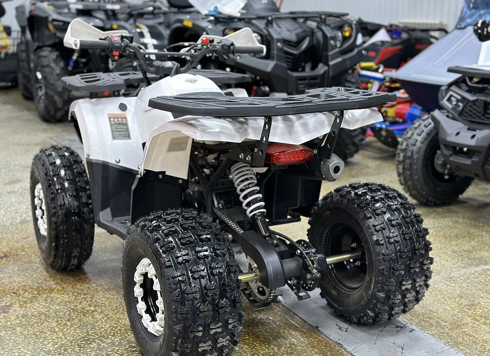 Квадроцикл PROMAX WILD 2.0 190 в Калининграде