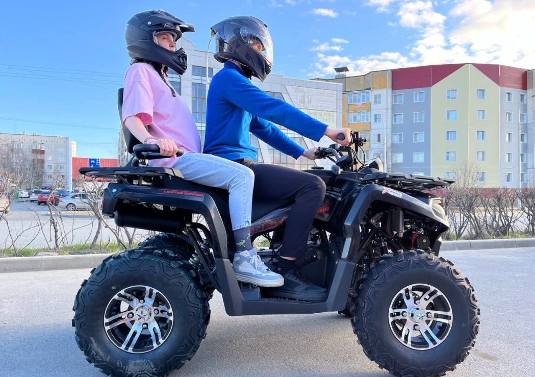 Квадроцикл PROMAX RENEGADE 300 LONG WINCH PRO (2025) в Калининграде