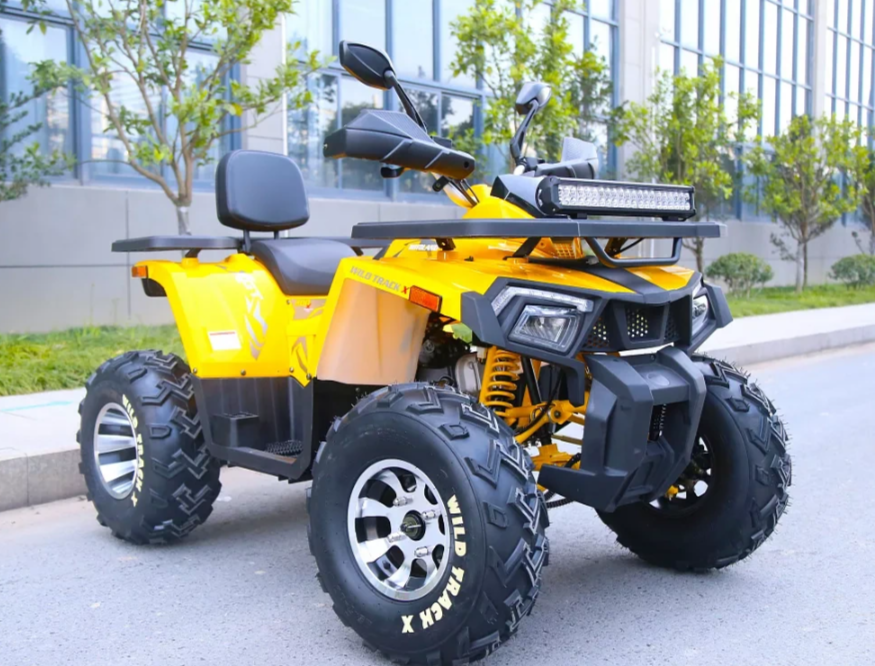 Квадроцикл MOTOLAND (МОТОЛЕНД) VOX200 WILD TRACK X PRO (баланс. вал) в Калининграде