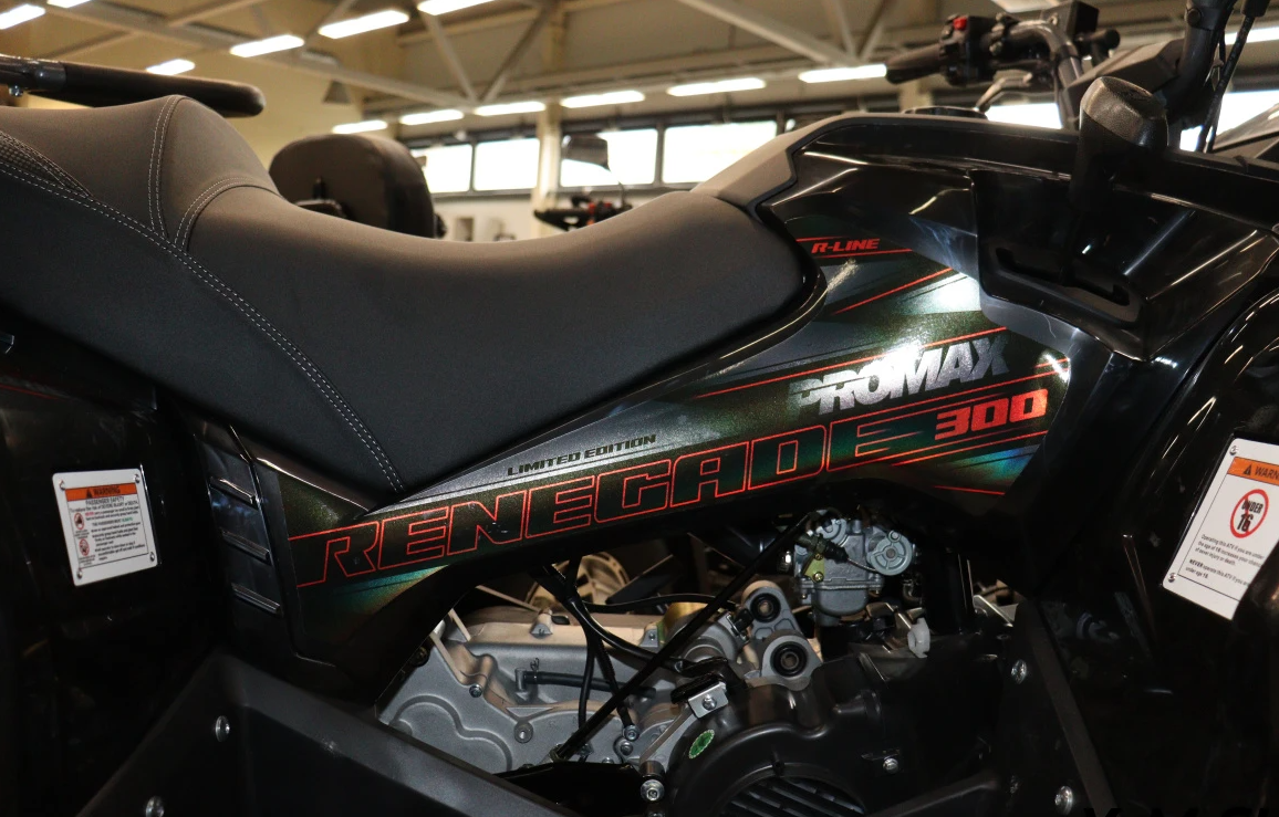 Квадроцикл PROMAX RENEGADE 300 LONG WINCH PRO (2025) в Калининграде