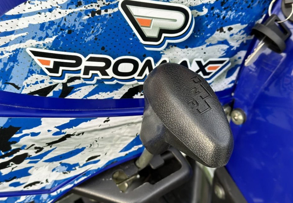  Квадроцикл PROMAX ATV 250 MAX (2025) в Калининграде