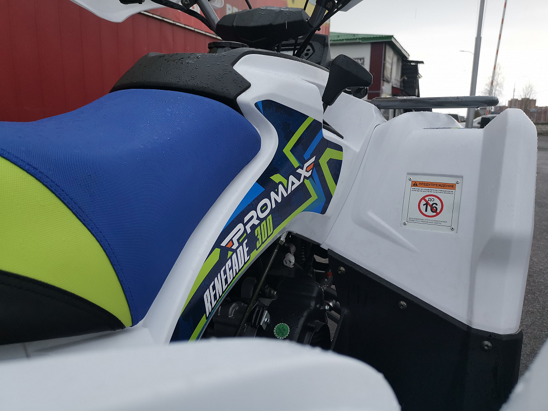 Квадроцикл PROMAX RENEGADE 280 LUX (2025) в Калининграде