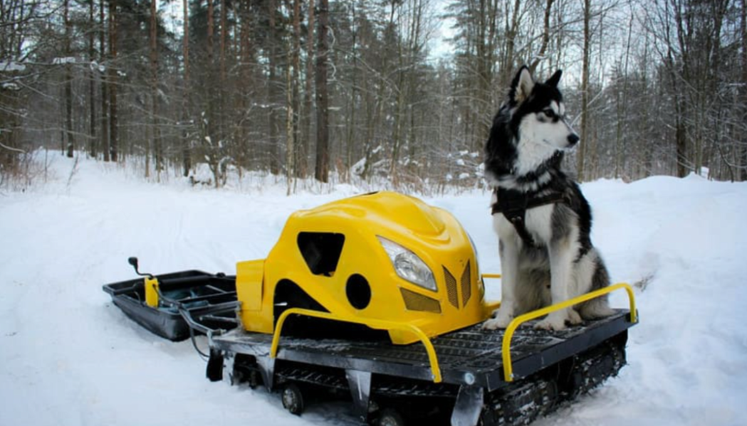 Мотобуксировщик LEBEDEV MOTORS ВОЛКОДАВ POWER V13 в Калининграде