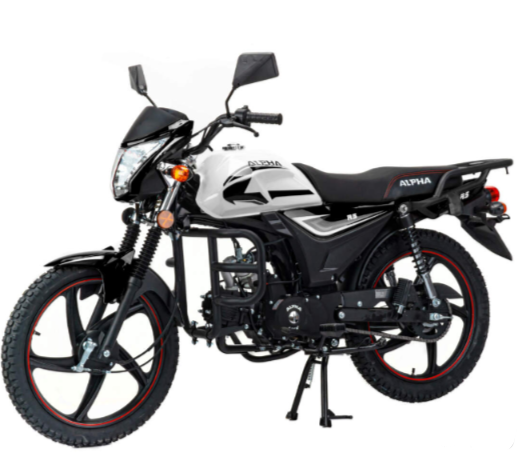 Мопед MOTOLAND (МОТОЛЕНД) Альфа RS 11 (LM48-B) в Калининграде