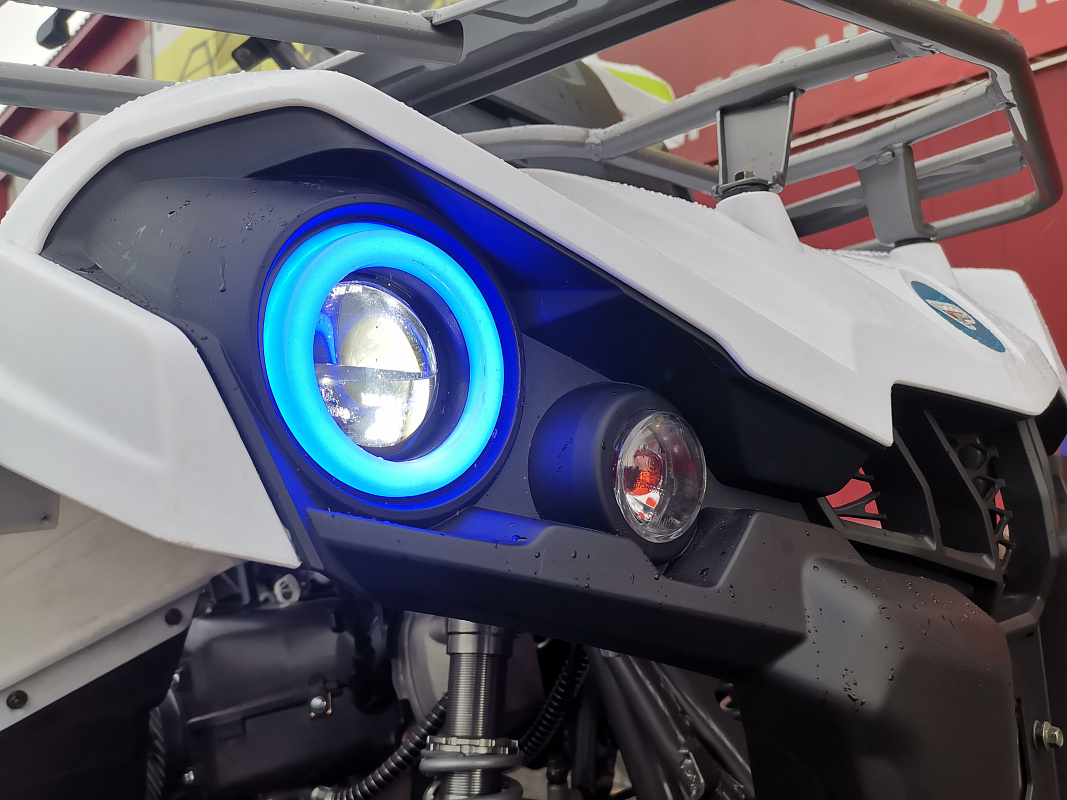 Квадроцикл PROMAX RENEGADE 280 LUX (2025) в Калининграде