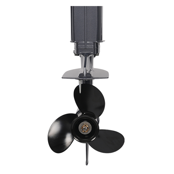 Лодочный мотор ALLFA CG T9.9(20) MAX Limit в Калининграде