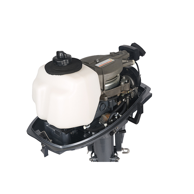 ЛОДОЧНЫЙ МОТОР ALLFA CG T5 в Калининграде