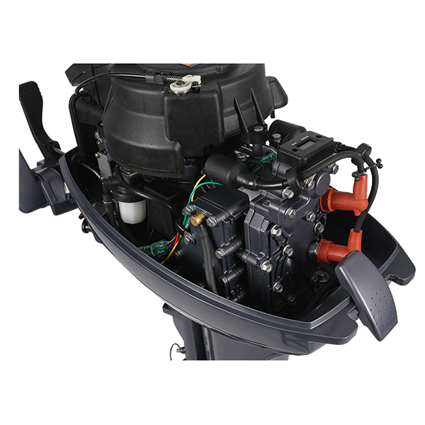 ЛОДОЧНЫЙ МОТОР ALLFA CG Т9,9 в Калининграде