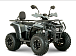 Квадроцикл YACOTA DRAGON LUX LD 150 PRO-SPORT в Калининграде