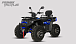 Квадроцикл PROMAX TAURUS 300 MAX-PRO LONG в Калининграде