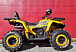 Квадроцикл PROMAX STORM 280 LUX в Калининграде