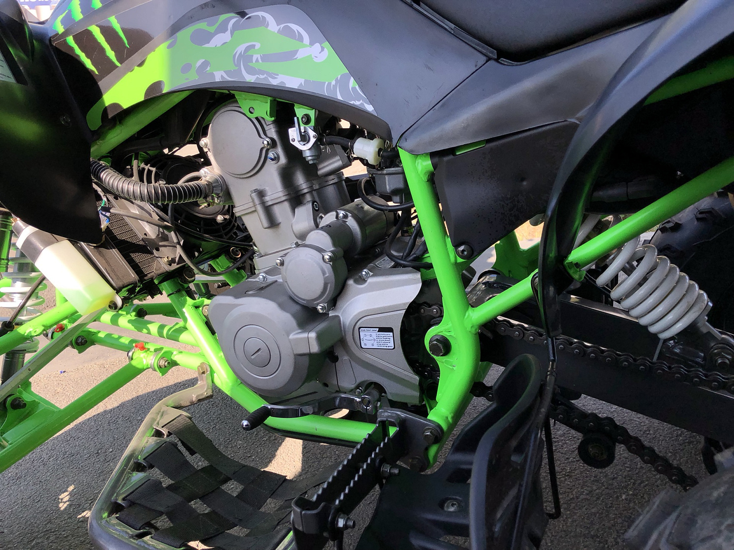 Квадроцикл PROMAX RAPTOR 300 NEW Monster в Калининграде