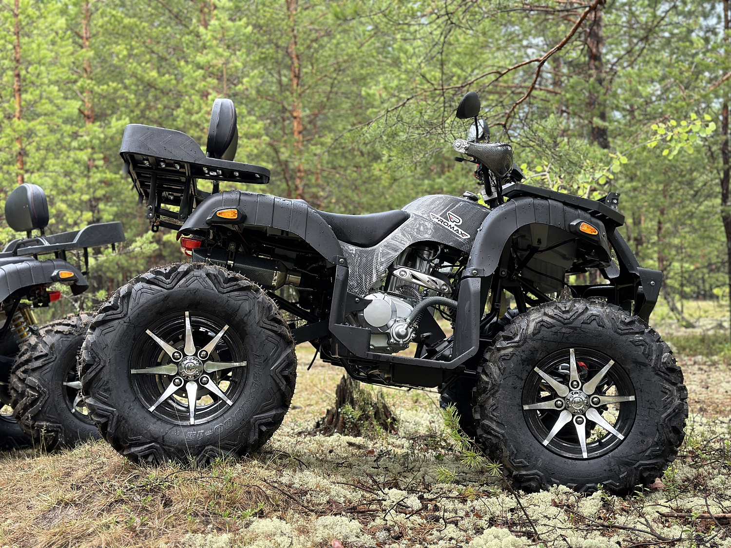 Квадроцикл PROMAX 320 DOMINATOR (2025) в Калининграде