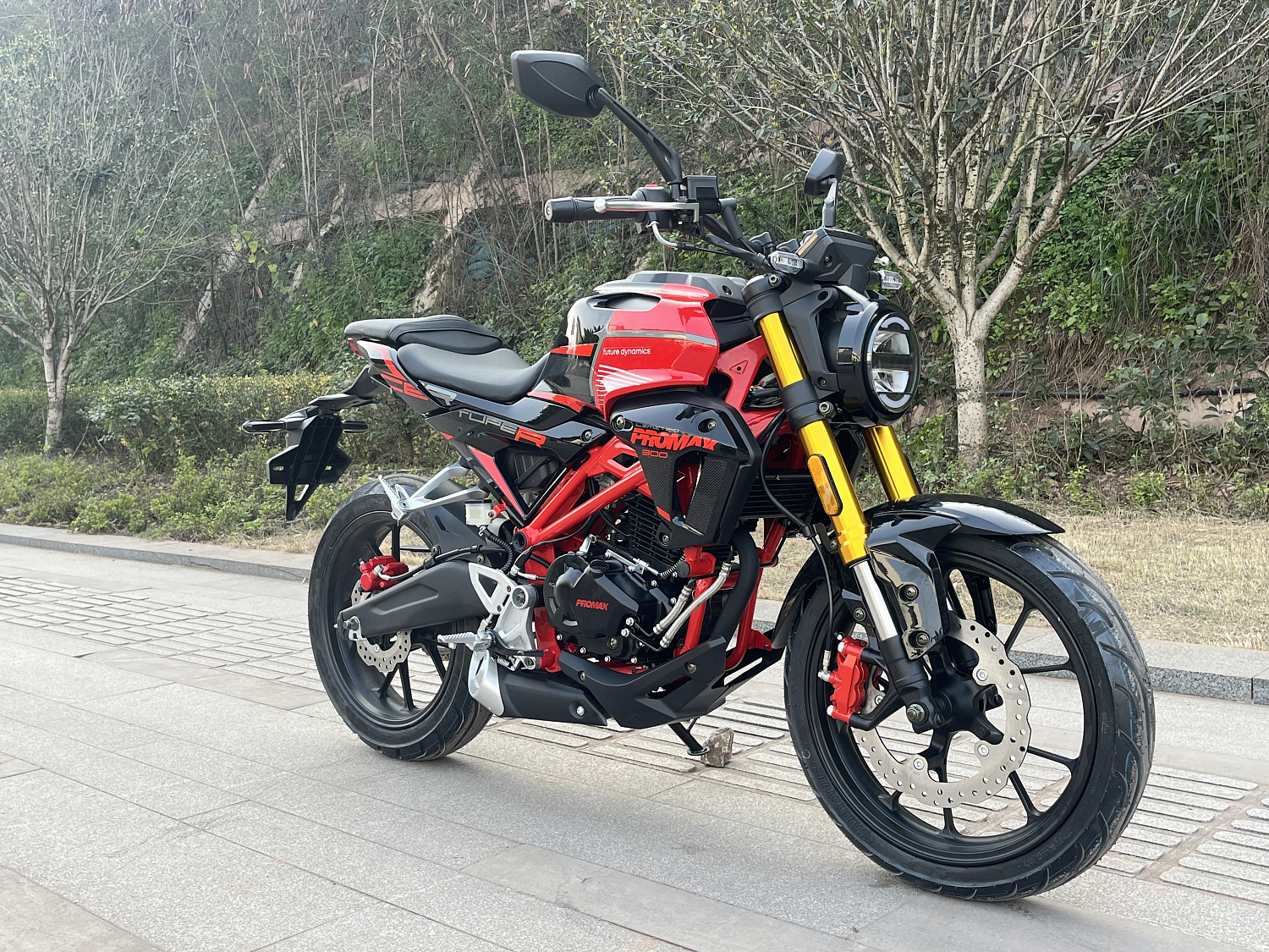 Мотоцикл PROMAX CB300 в Калининграде