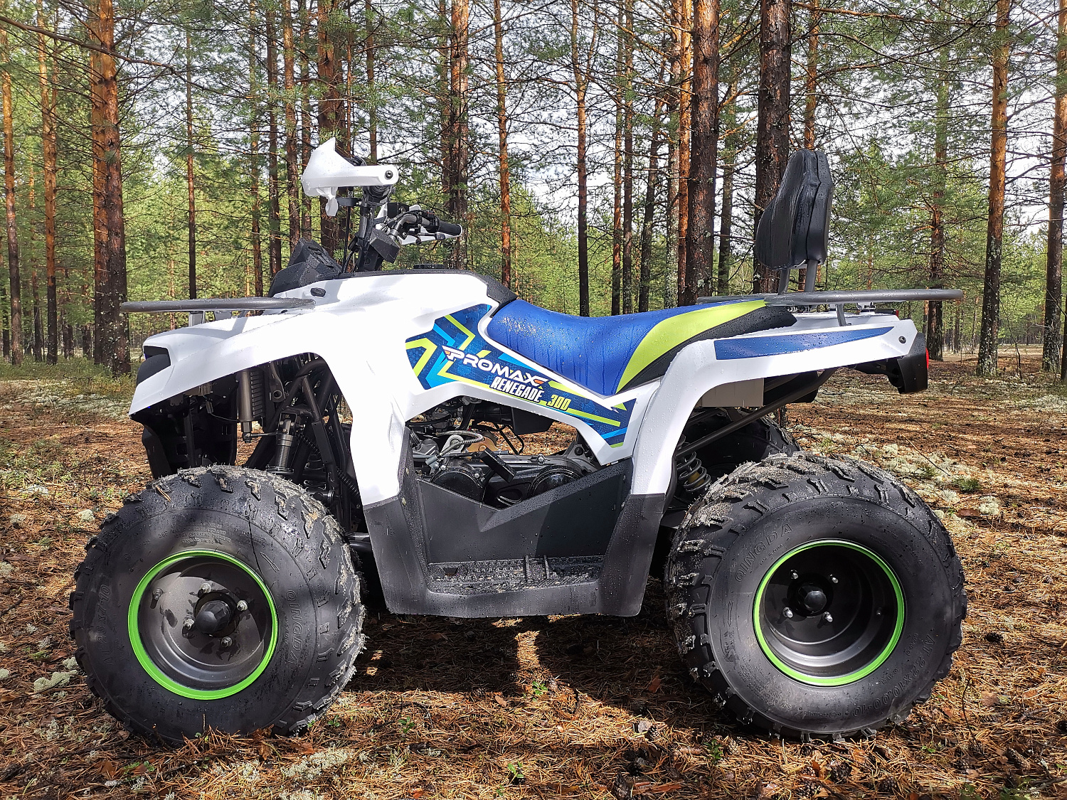 Квадроцикл PROMAX RENEGADE 280 (2025) в Калининграде
