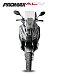 МаксиСкутер PROMAX-HONDA ADV 150 (49) (Inspired by HONDA) в Калининграде
