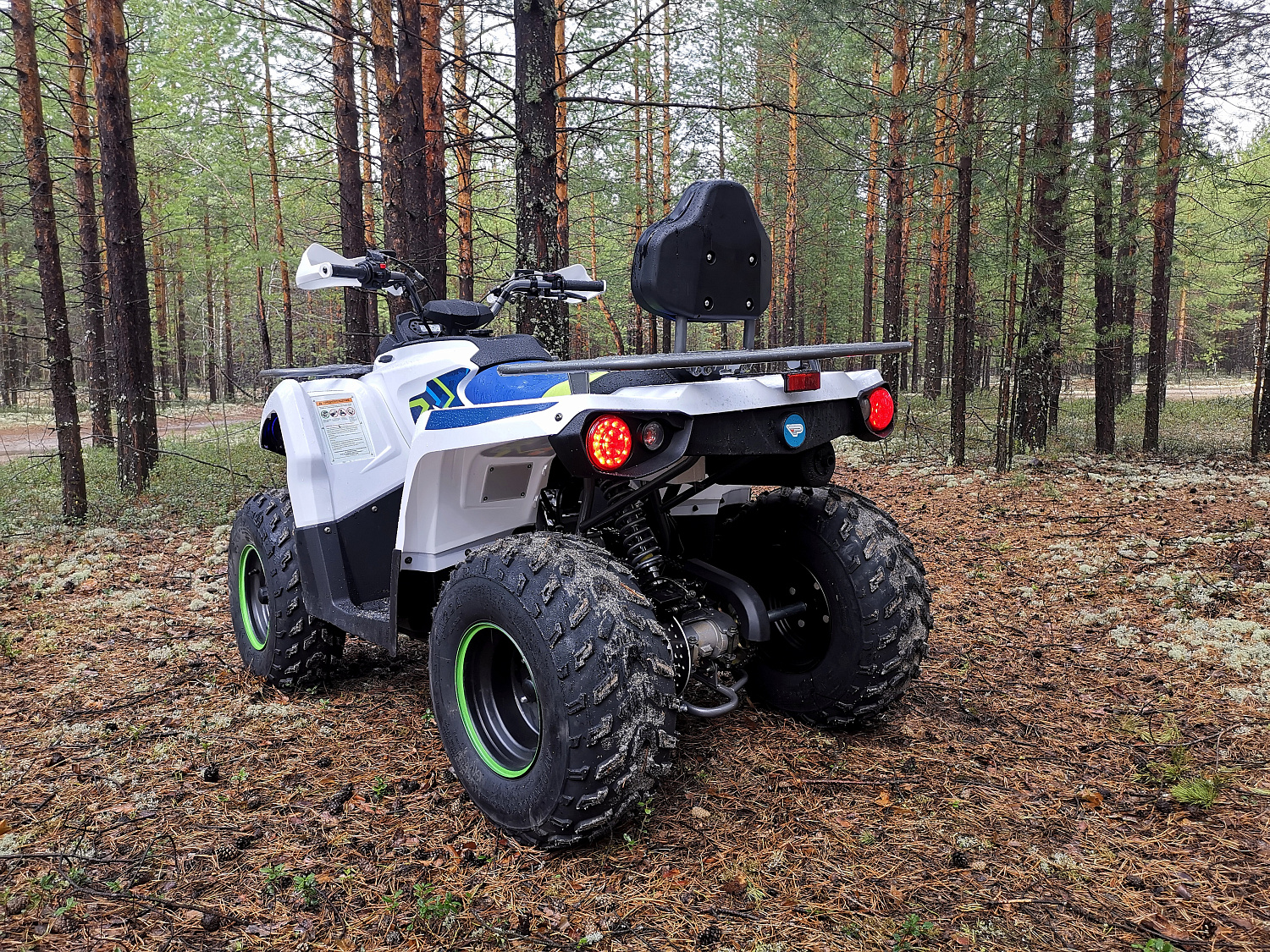 Квадроцикл PROMAX RENEGADE 280 (2025) в Калининграде