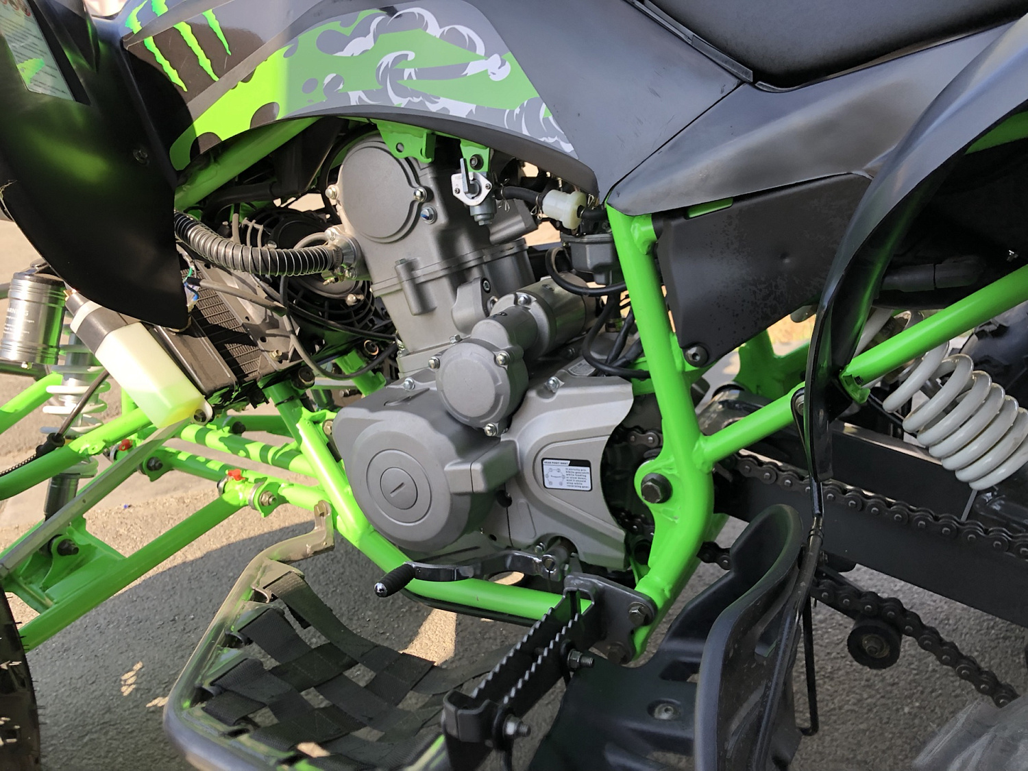 Квадроцикл PROMAX RAPTOR 300 NEW Monster в Калининграде