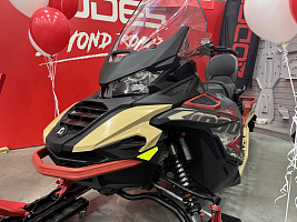 Поступление снегоходов от бренда AODES!