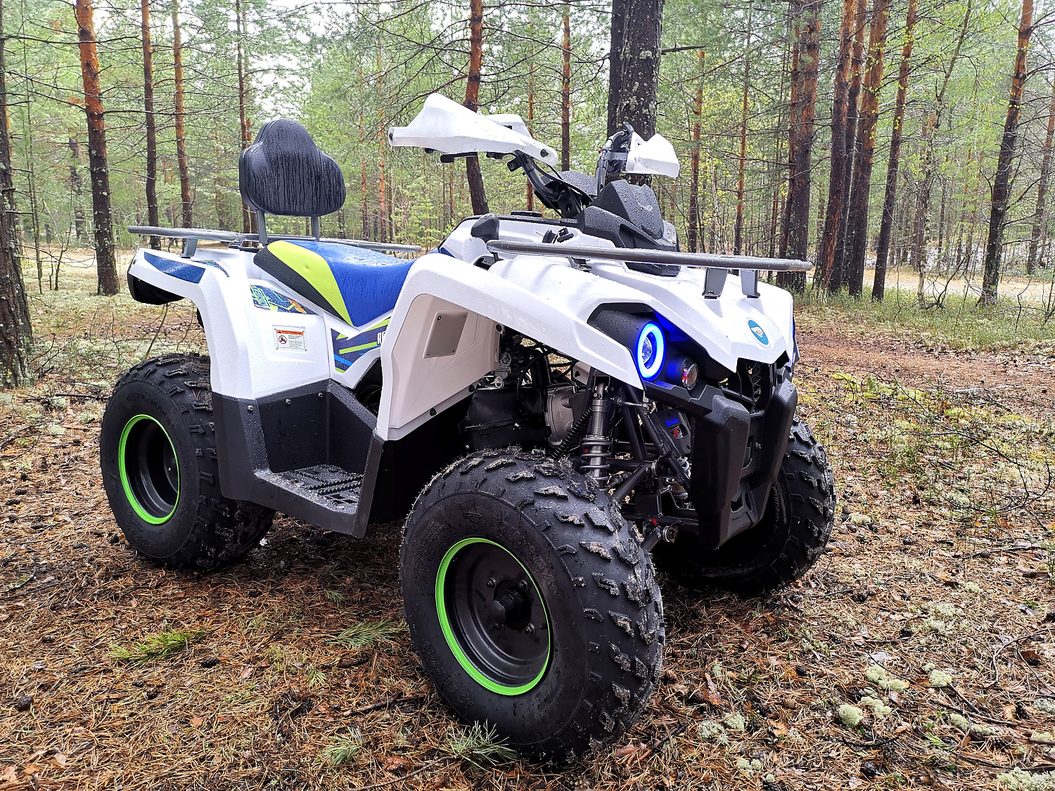 Квадроцикл PROMAX RENEGADE 280 (2025) в Калининграде