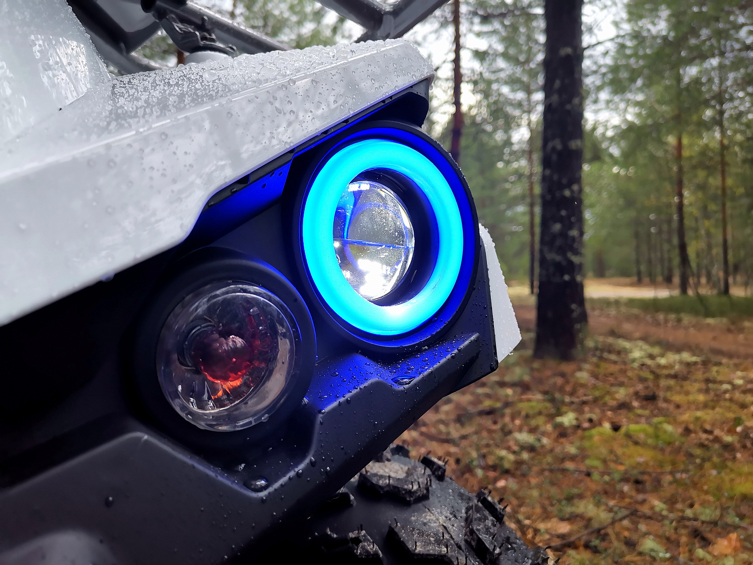 Квадроцикл PROMAX RENEGADE 280 (2025) в Калининграде