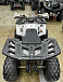 Квадроцикл PROMAX WILD 2.0 190 в Калининграде