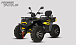 Квадроцикл PROMAX TAURUS 300 MAX-PRO LONG в Калининграде